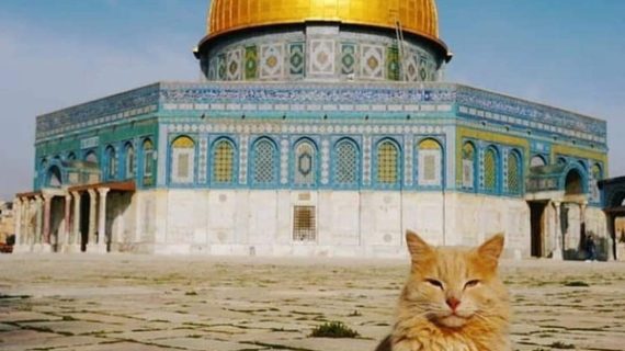 Sejarah Kiblat Pertama Umat Islam, Masjidil Aqsa