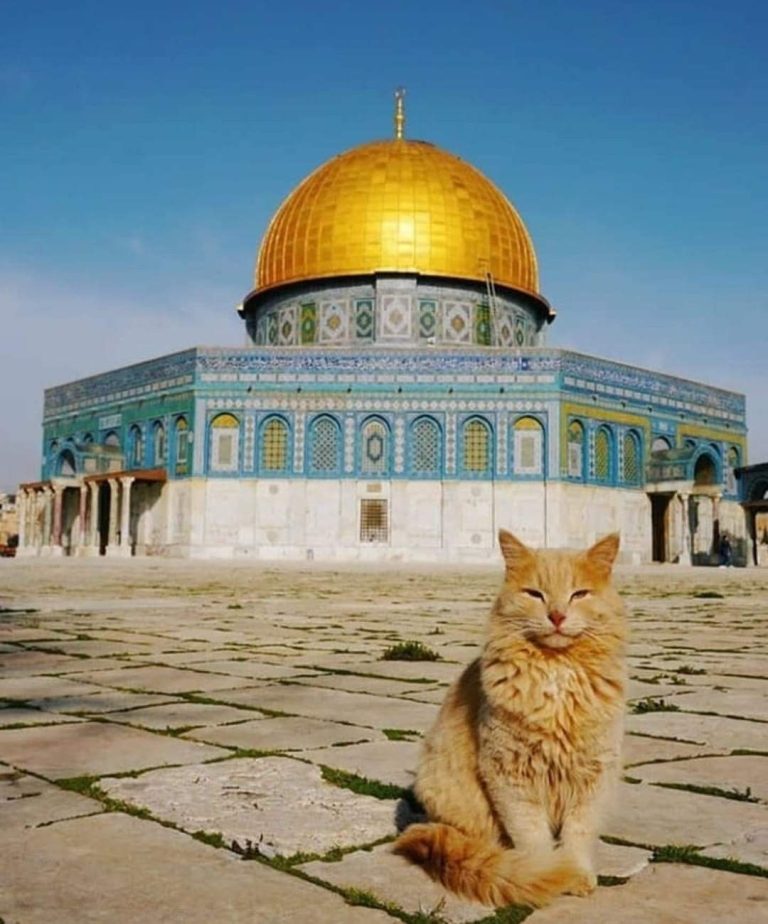 sejarah masjidil aqsa